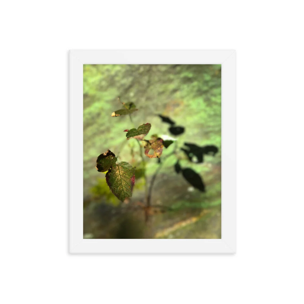 enhanced-matte-paper-framed-poster-(in)-white-8x10-transparent-6111d40006b3e.jpg