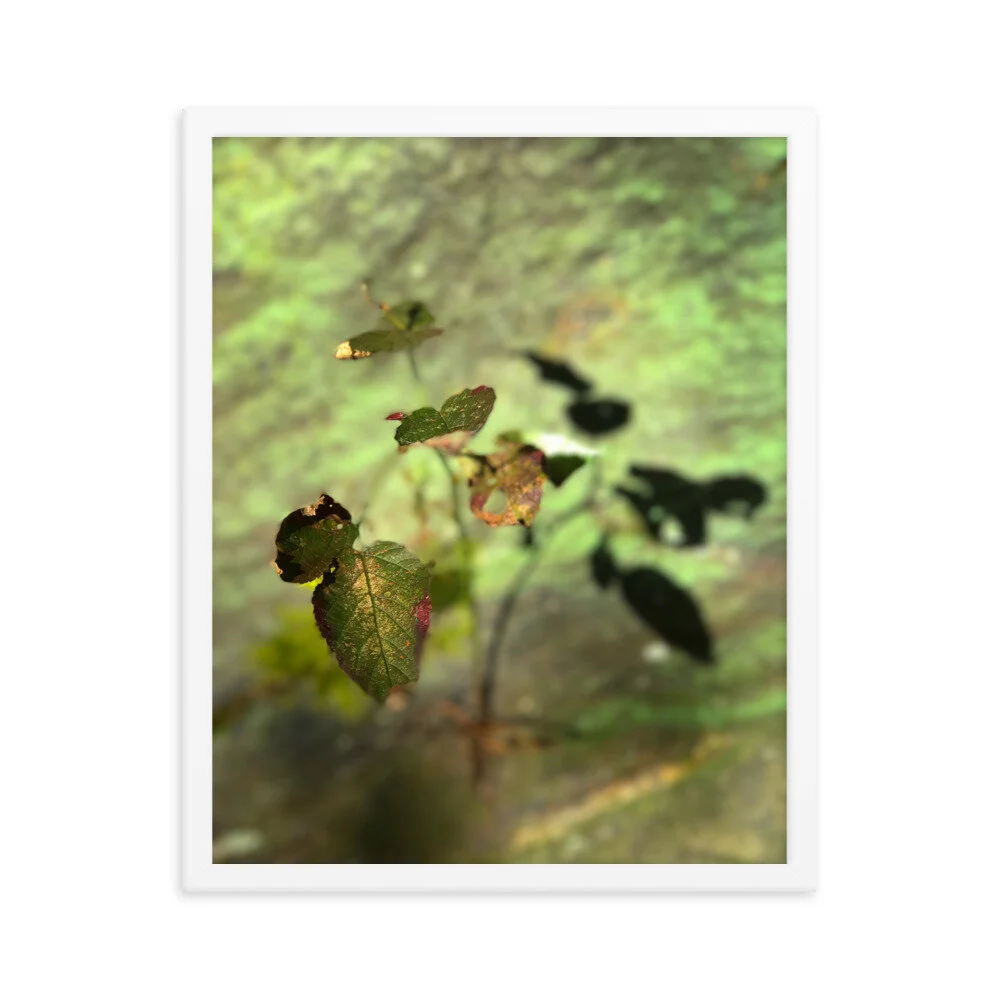 enhanced-matte-paper-framed-poster-(in)-white-16x20-transparent-6111d40006bc2.jpg