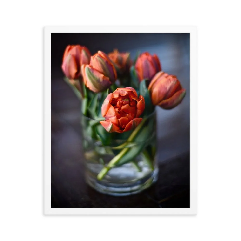 enhanced-matte-paper-framed-poster-(in)-white-16x20-transparent-63558ec331bf7.jpg