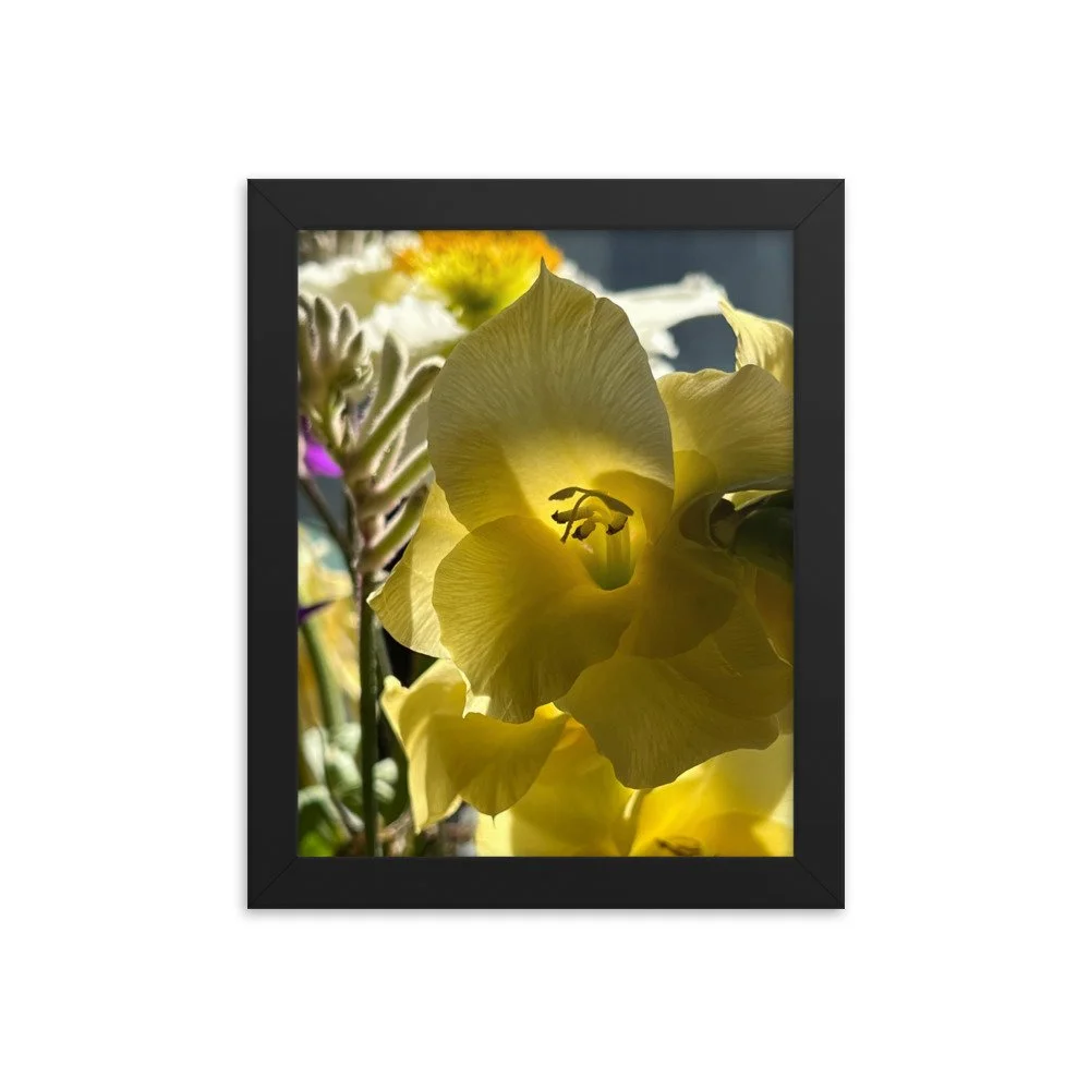 enhanced-matte-paper-framed-poster-(in)-black-8x10-transparent-6355a5140df58.jpg