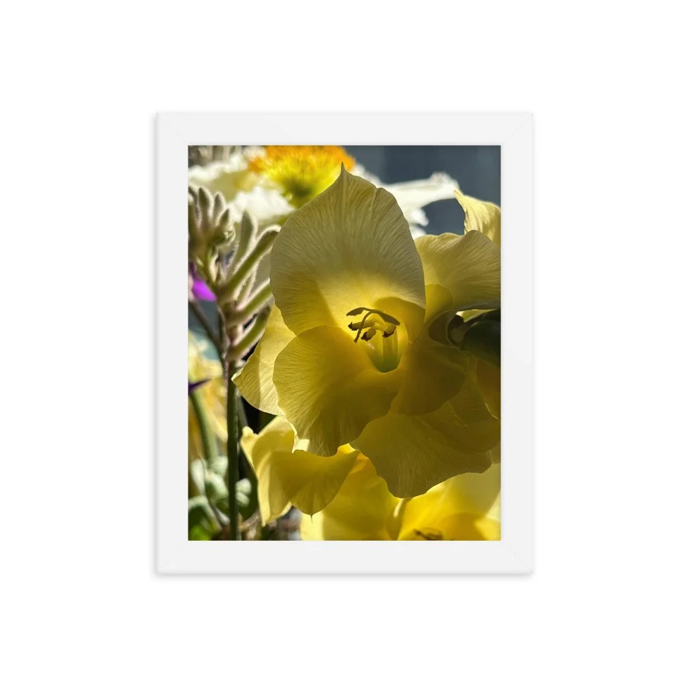 enhanced-matte-paper-framed-poster-(in)-white-8x10-transparent-6355a5140e1fc.jpg