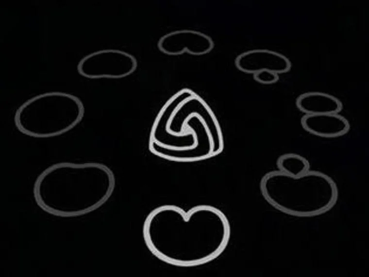 Por qué necesitas un micrófono multipatrón