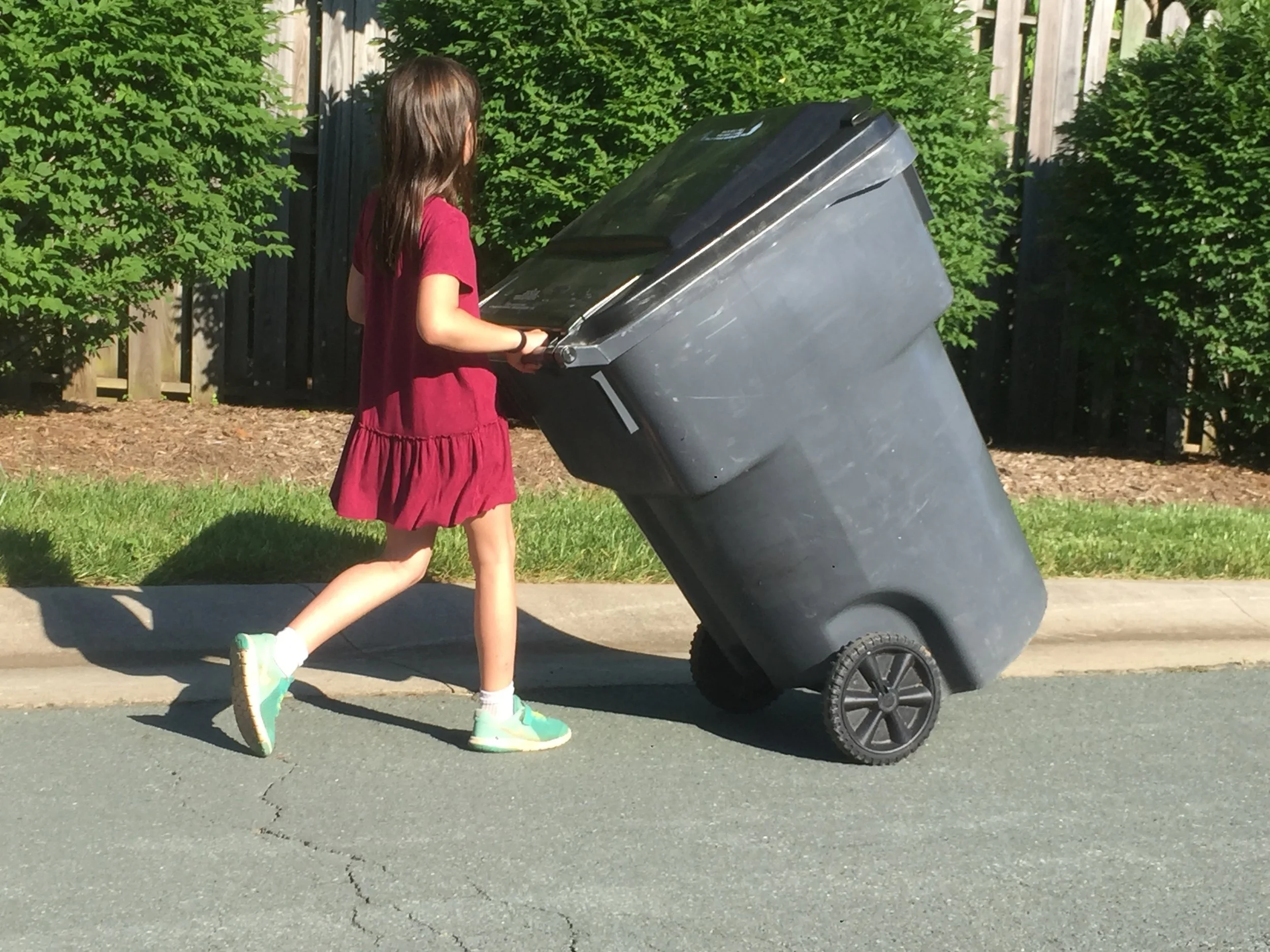 bin_6.jpg