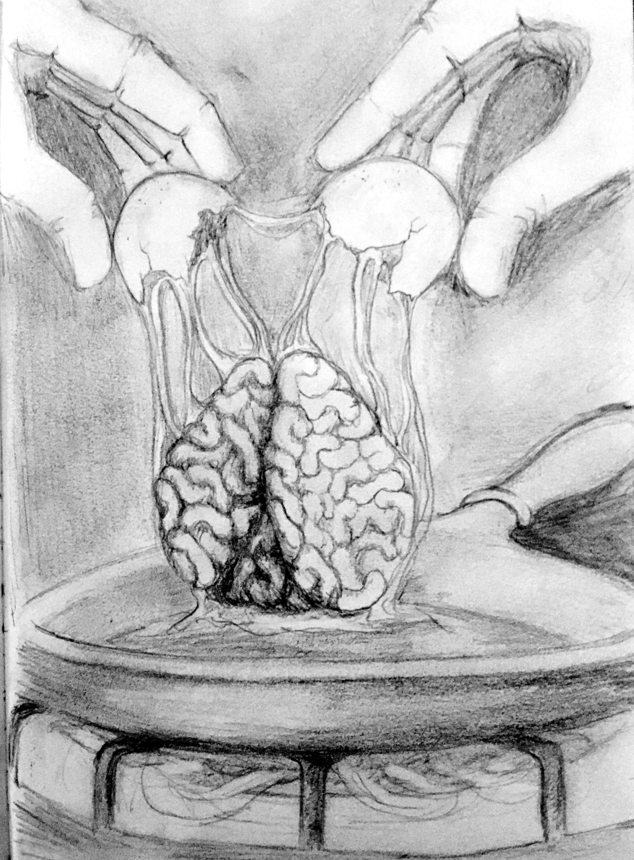 Sketch_Brain.jpg