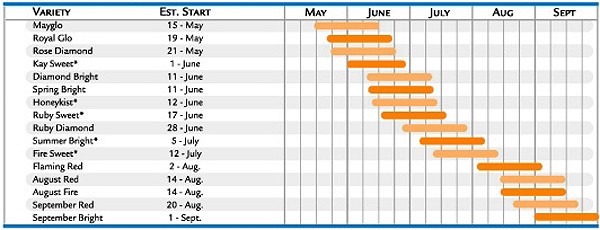 nectarines_chart1.jpg