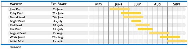 nectarines_chart2.jpg