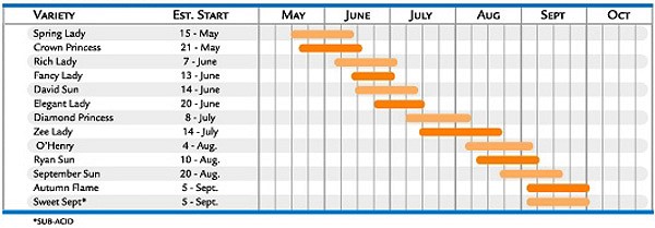 peaches_chart1.jpg