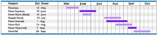 pluots_chart1.jpg