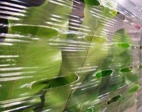 Netherlands Flower Distribution: Air-O-Film® Flowra