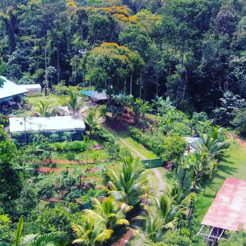 Costa Rica Regenerative Living
