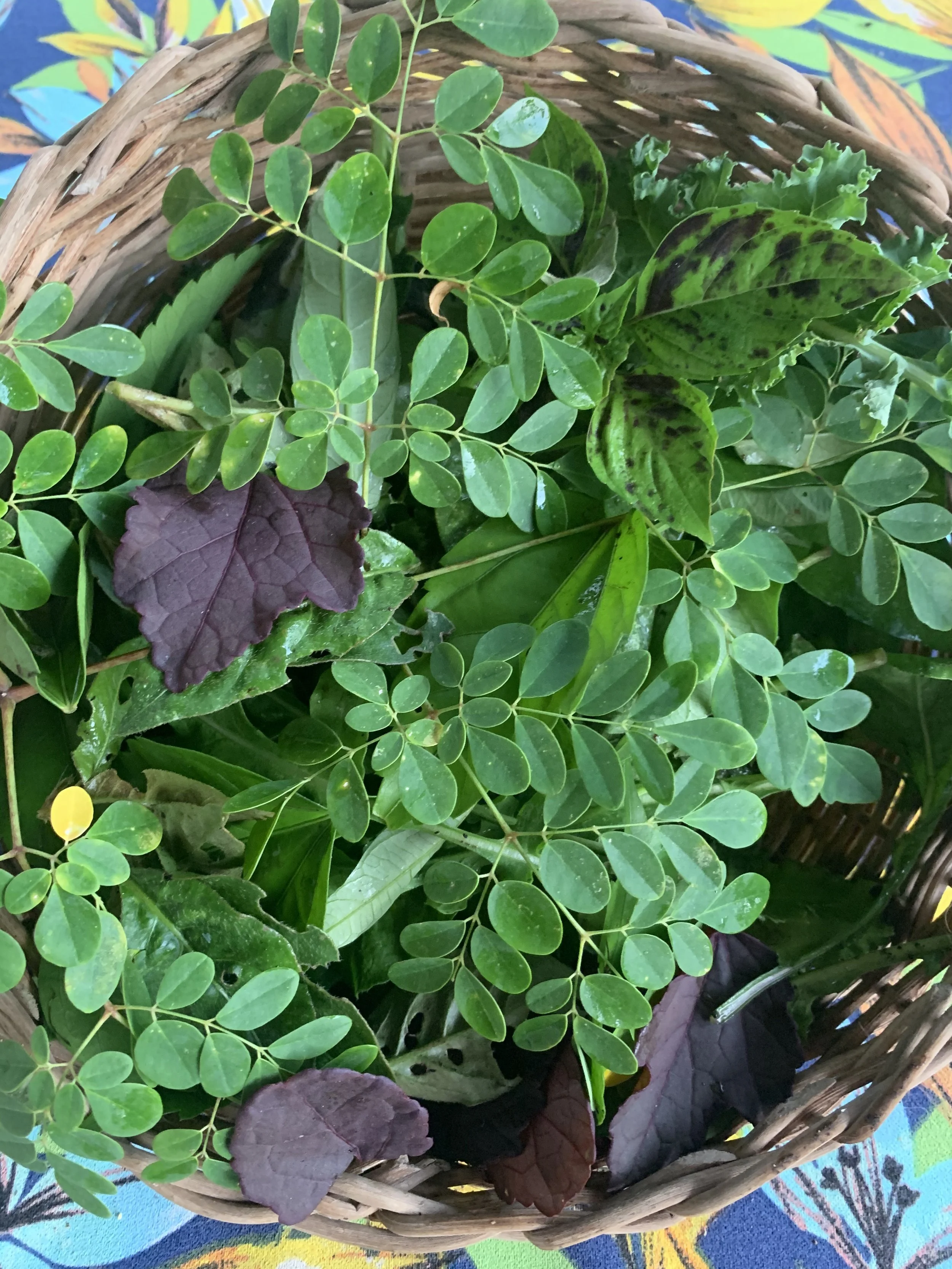 Everything is Energy