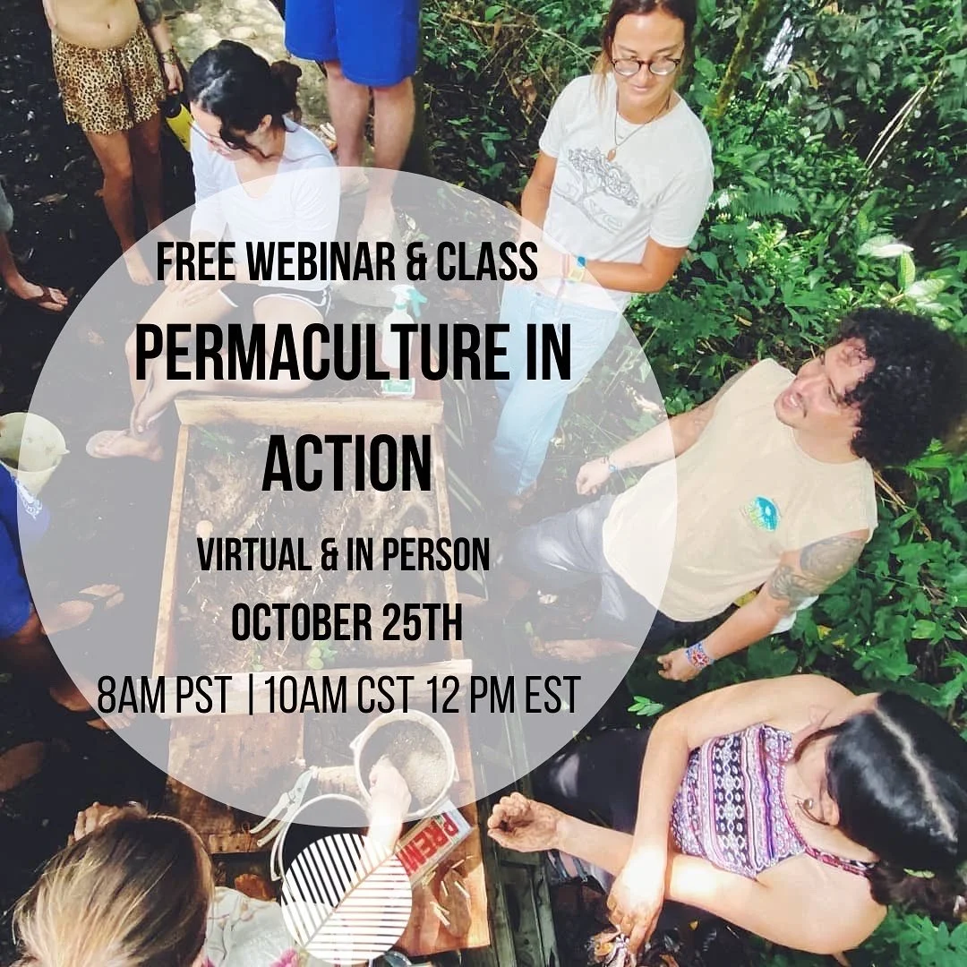 Permaculture In Action