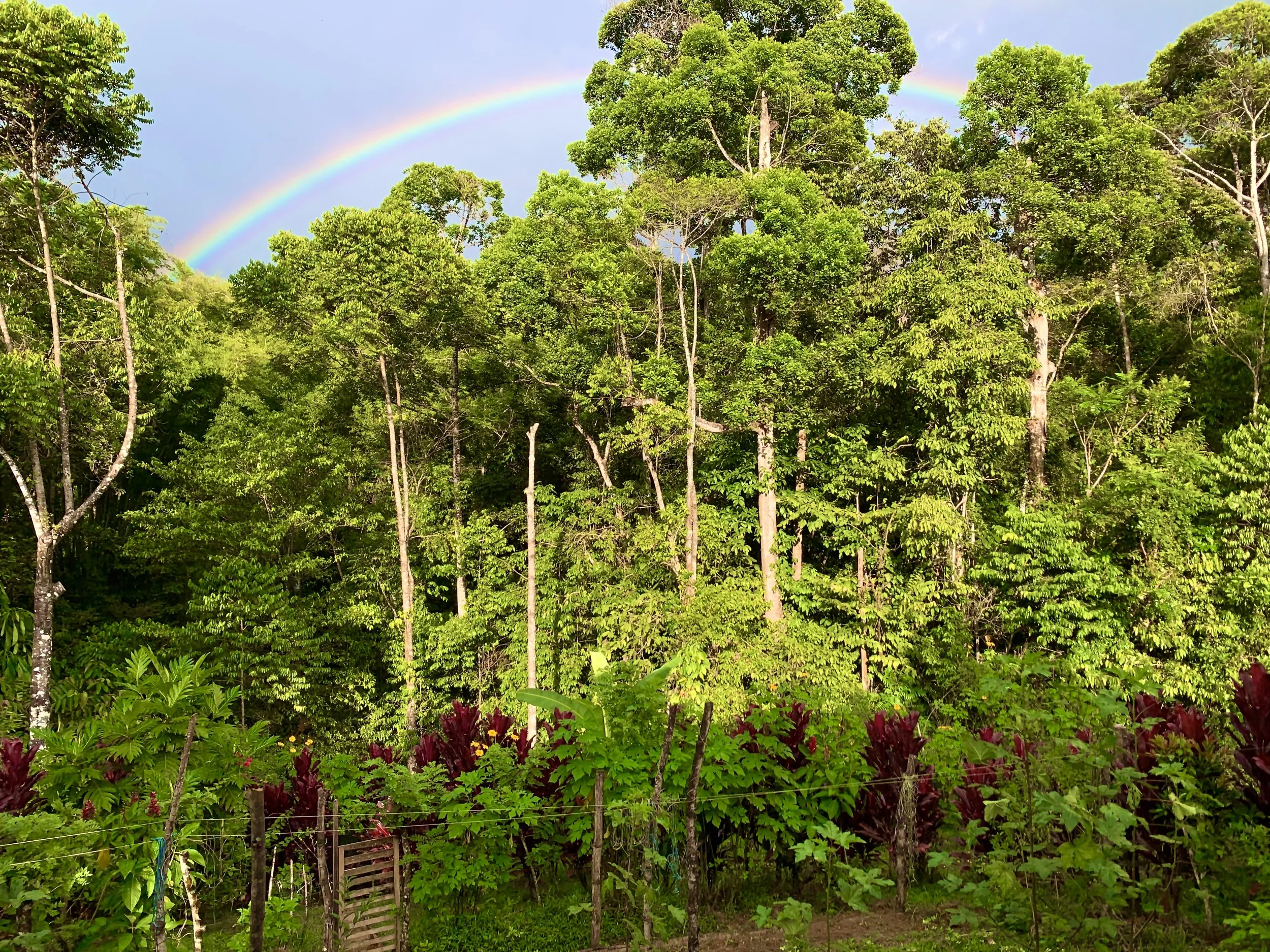 How We Achieved Food Sovereignty in 2 Years!