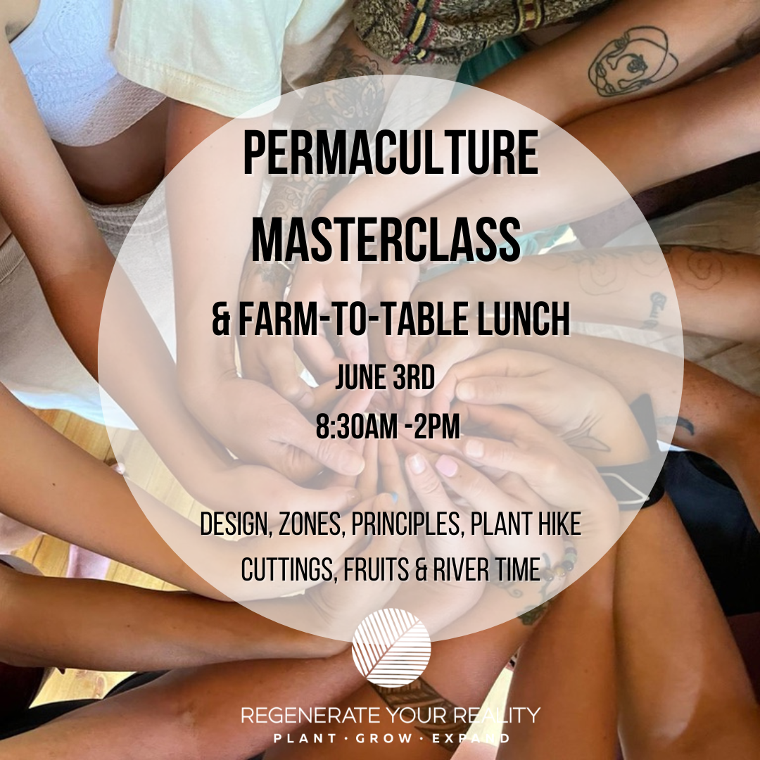 Permaculture Masterclass 