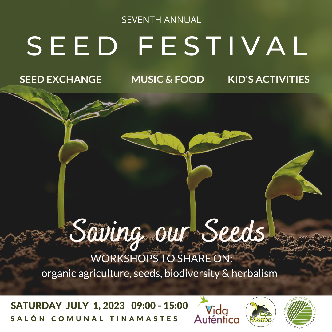 Seed Festival 