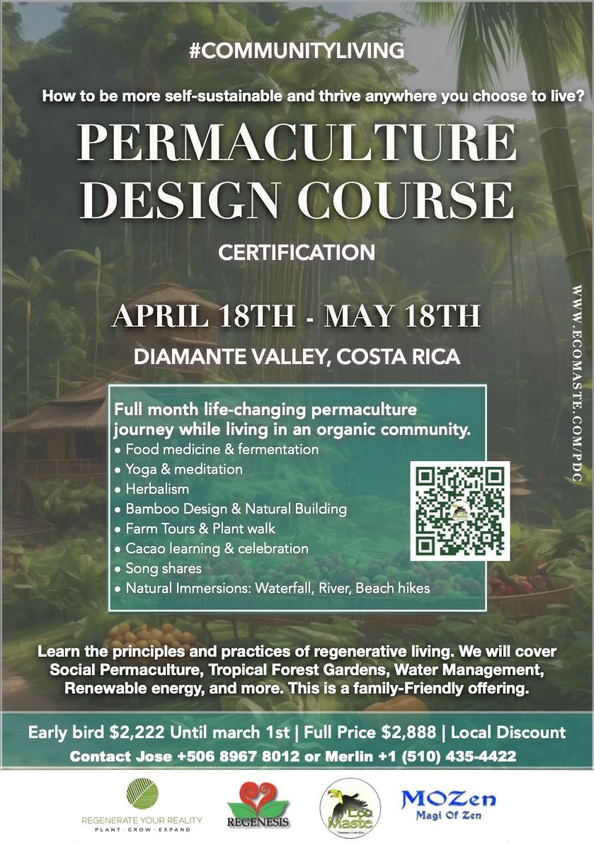 Permaculture Design Course &amp; Community Living Experience