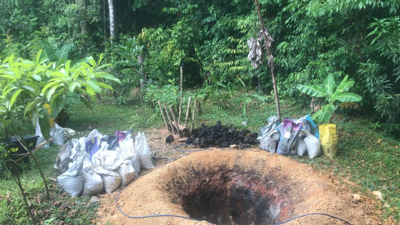 Biochar is a powerful soil nutrient