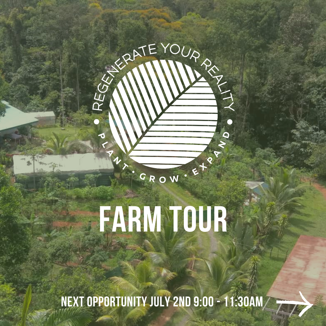 Permaculture Farm Tour 
