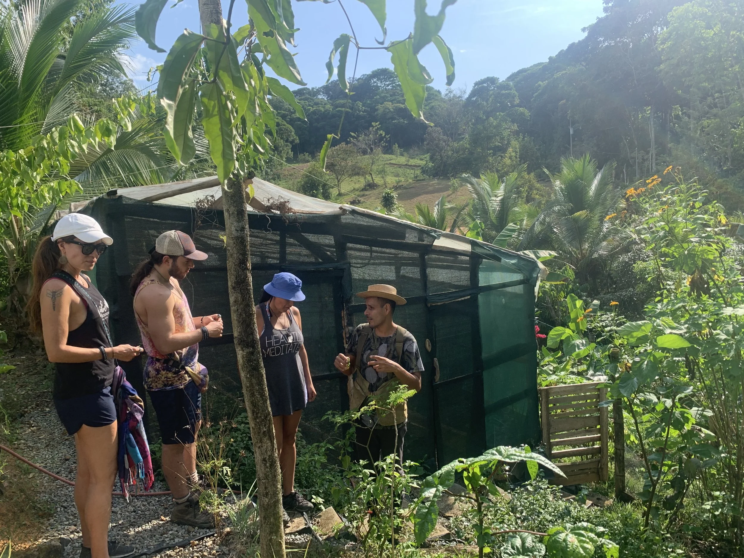 Regenerative Homesteading