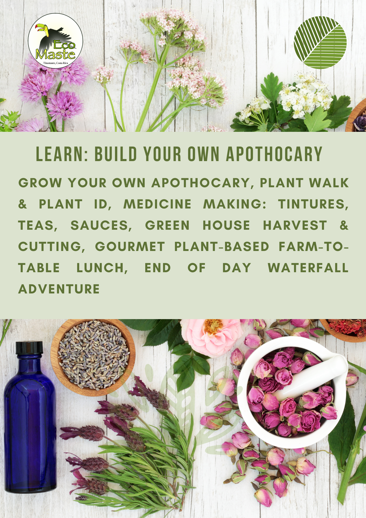 Herbalism Masterclass 