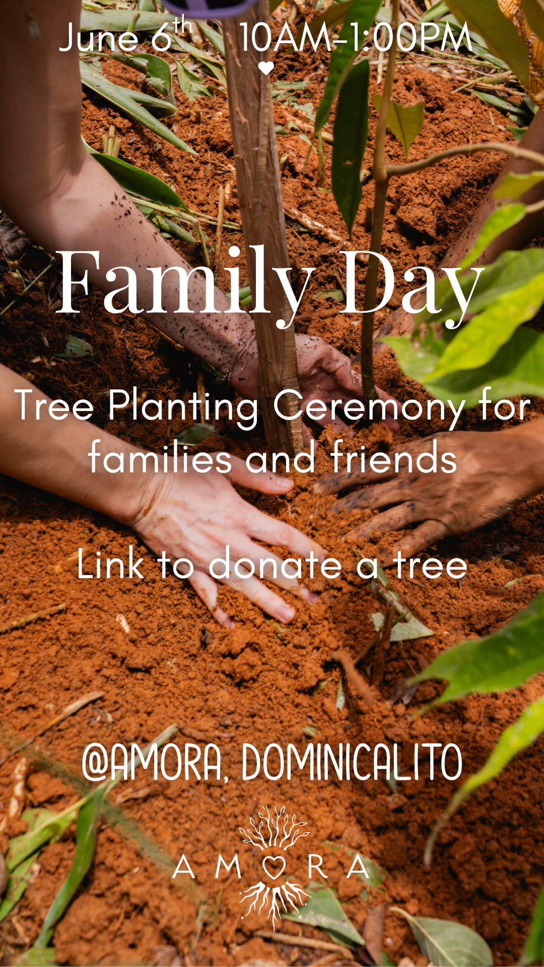 Tree Planting Ceremony 
