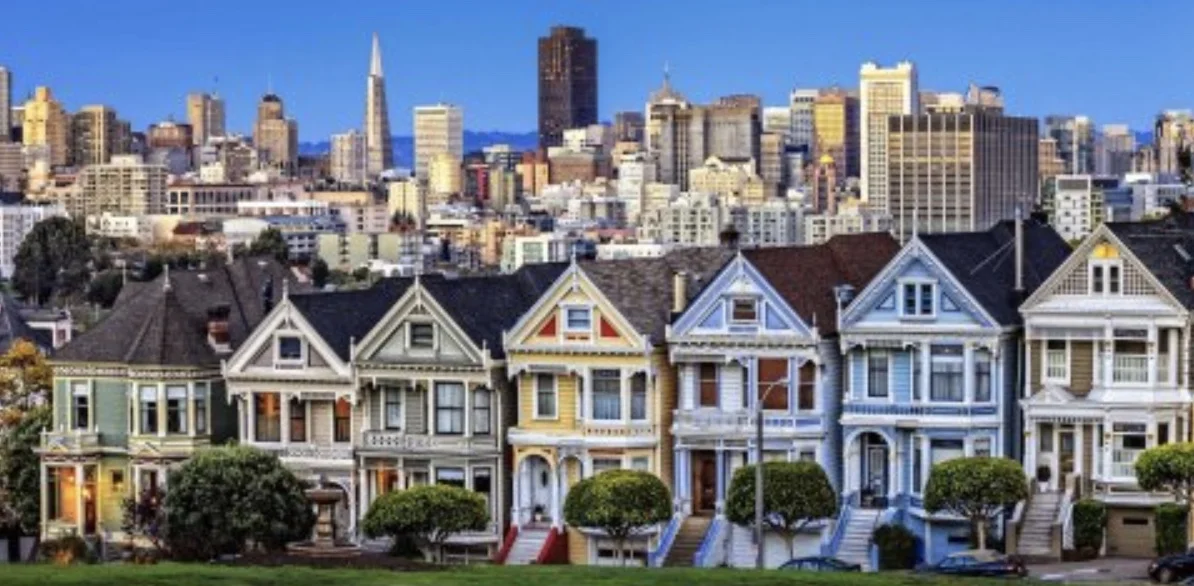 Painted Ladies 2.jpeg
