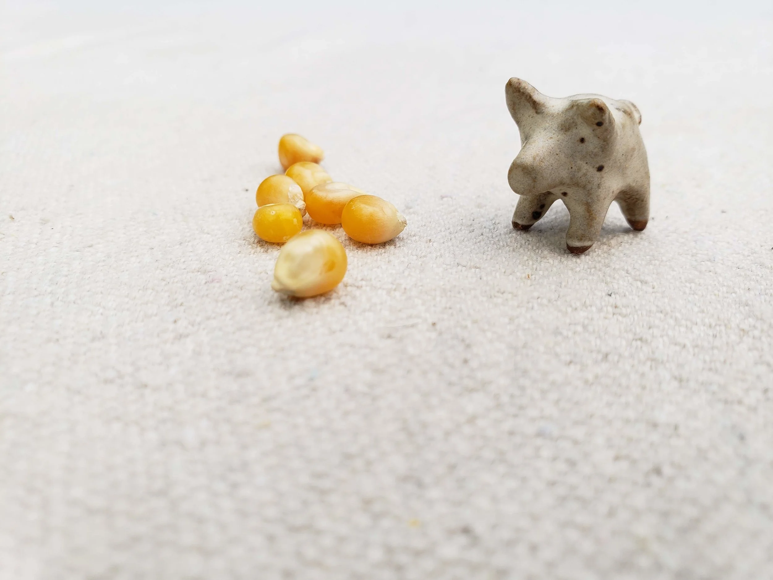 20180805_144511.jpg