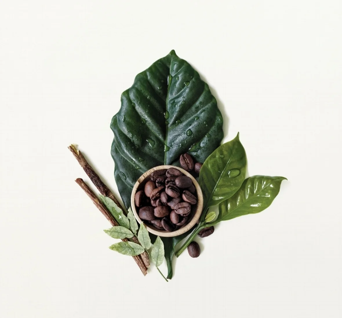 Botanical_Kinetics_ingredient_image.jpg