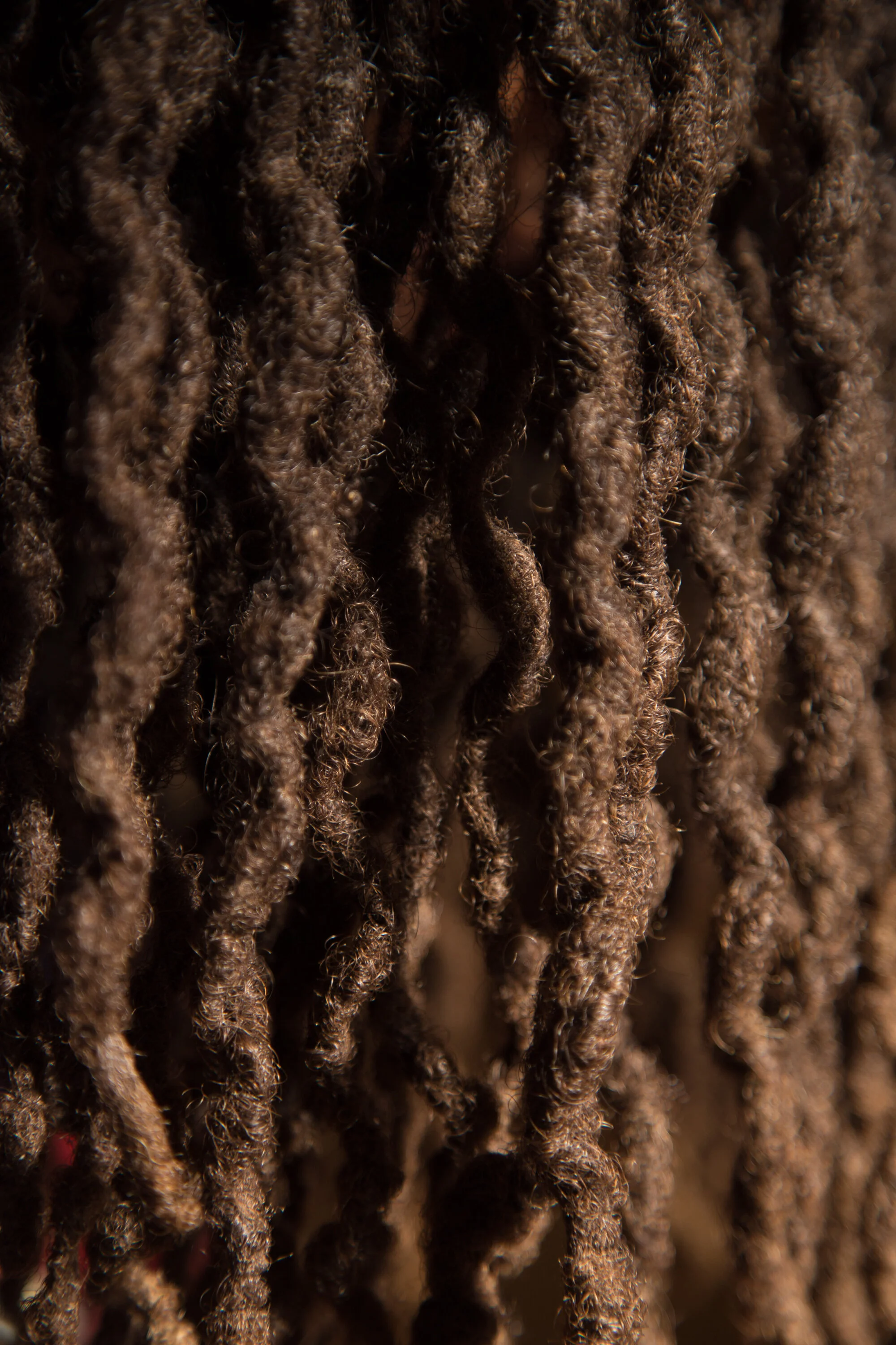 Treborsdreads_2018 (1 of 1).jpg