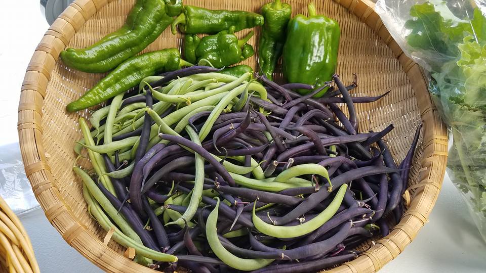 Green and Purple Beans.jpg