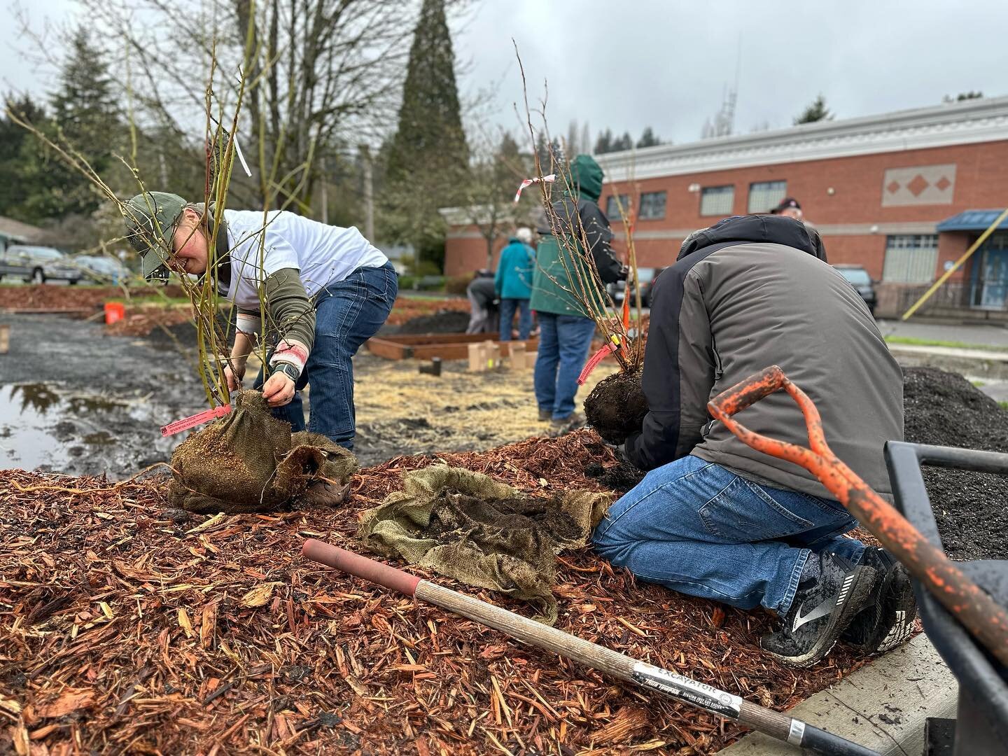 Thank you to the 40+ volunteers that spent Earth Day 🌎 planting a pollinator garden and food forest for our community to enjoy for years to come. A big thank you to Mason Conservation District for getting this funded, planned and completed. Come out