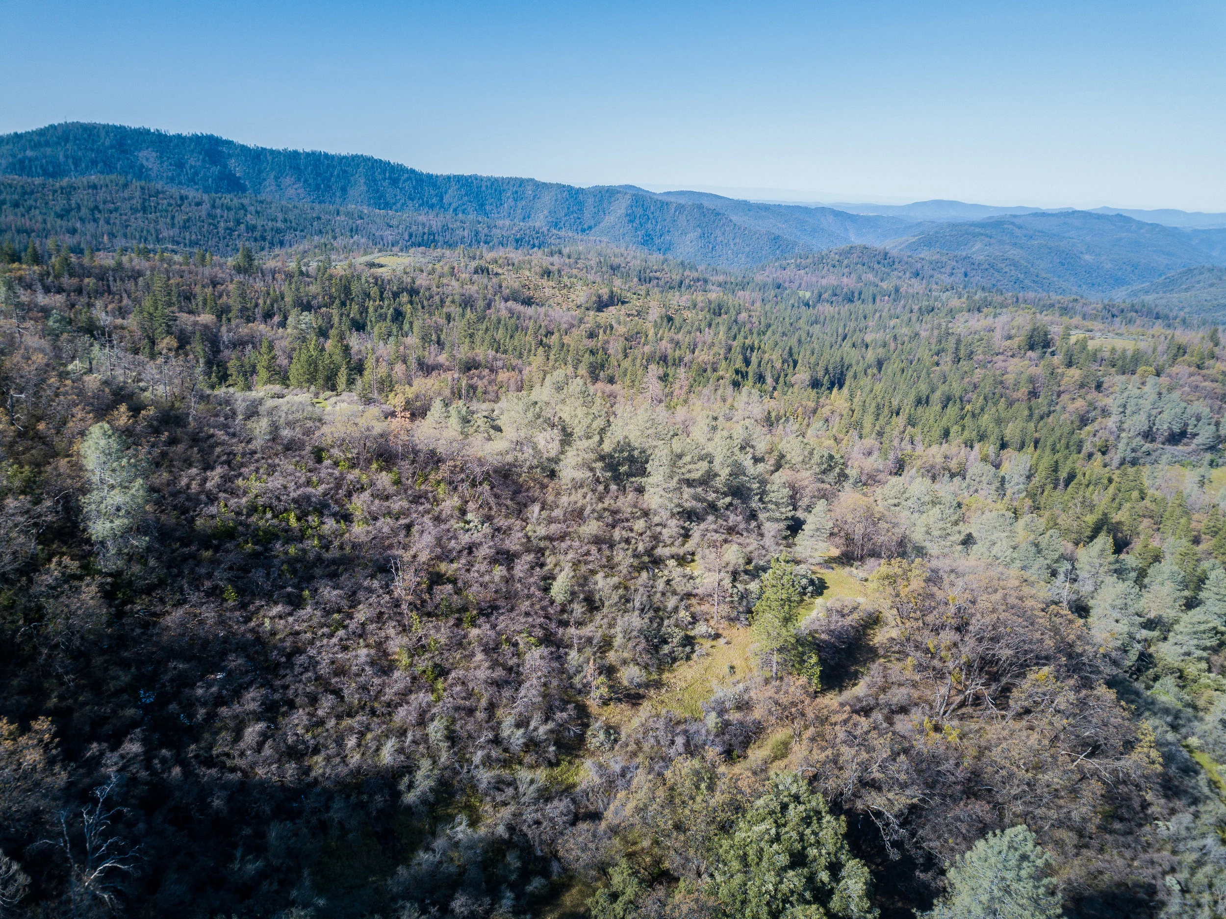 DJI_0059.jpg