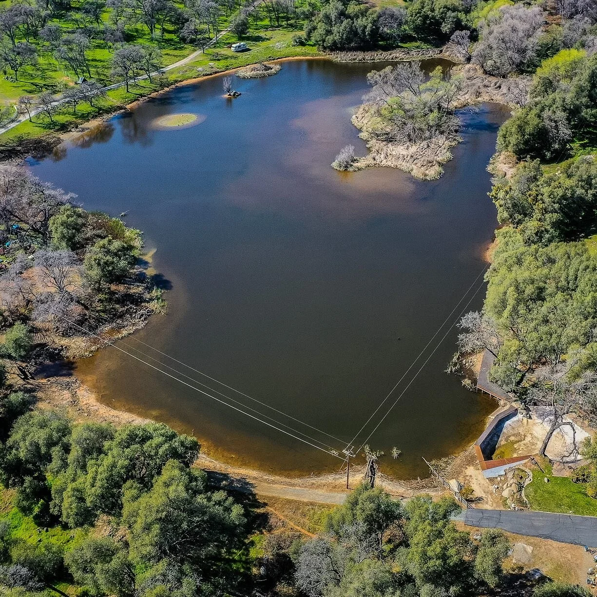 AboutThe Milnik Team