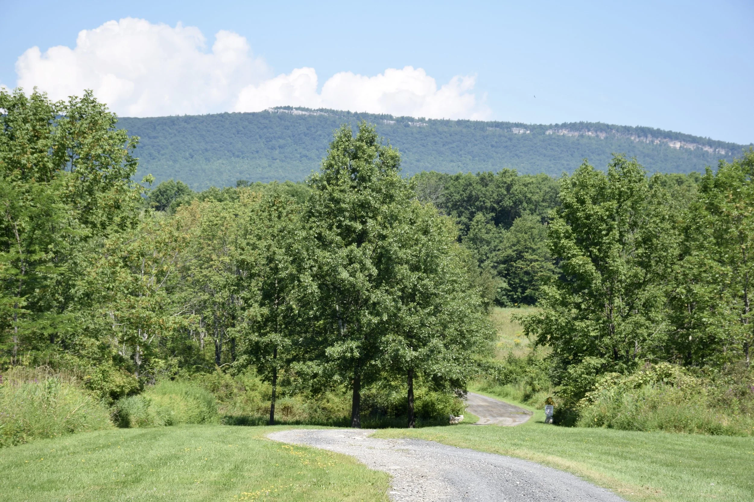 Copy of DSC_0178.jpg