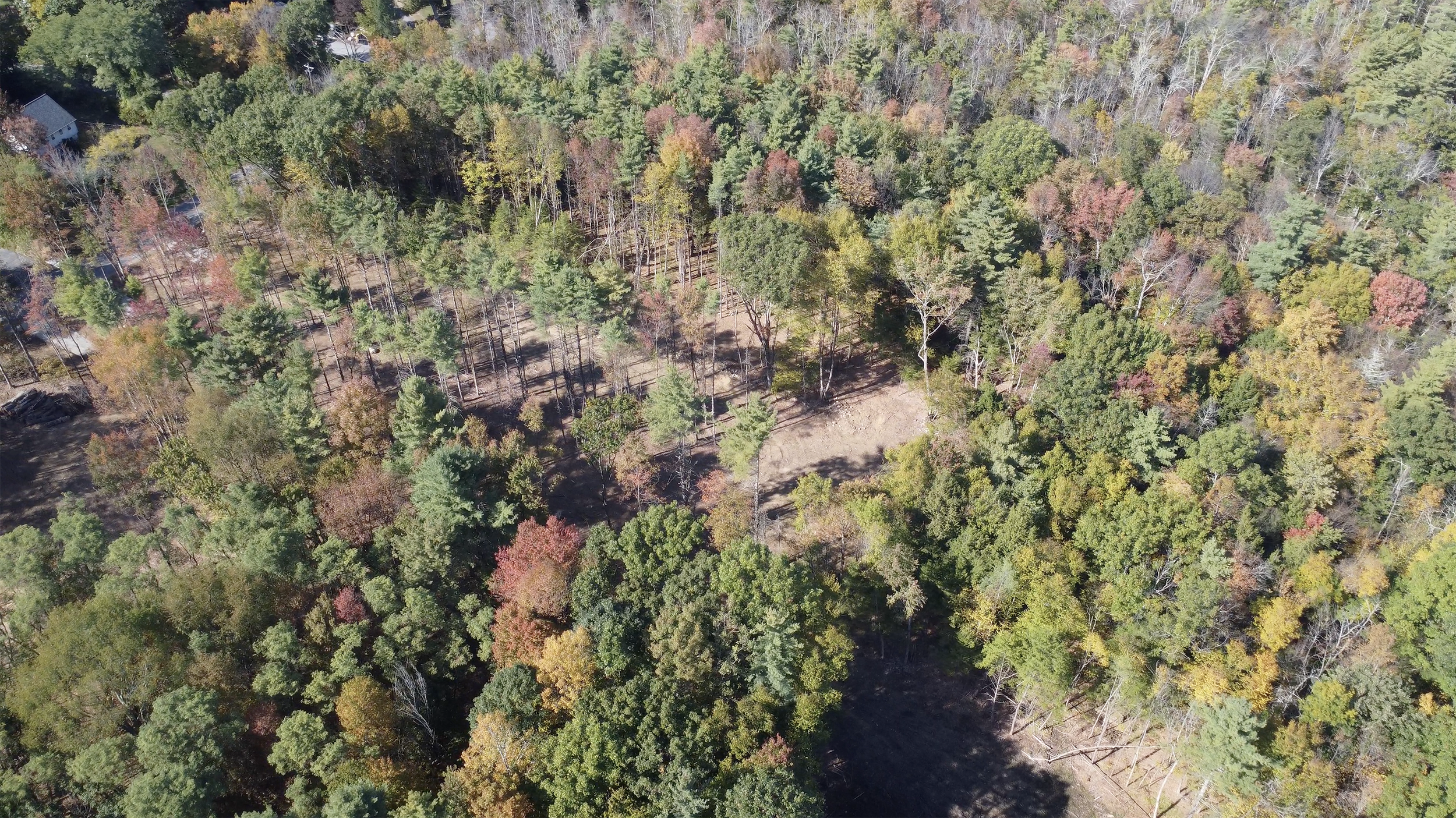 Screenshot 2025-10-20 at 12.35.19 PM.png