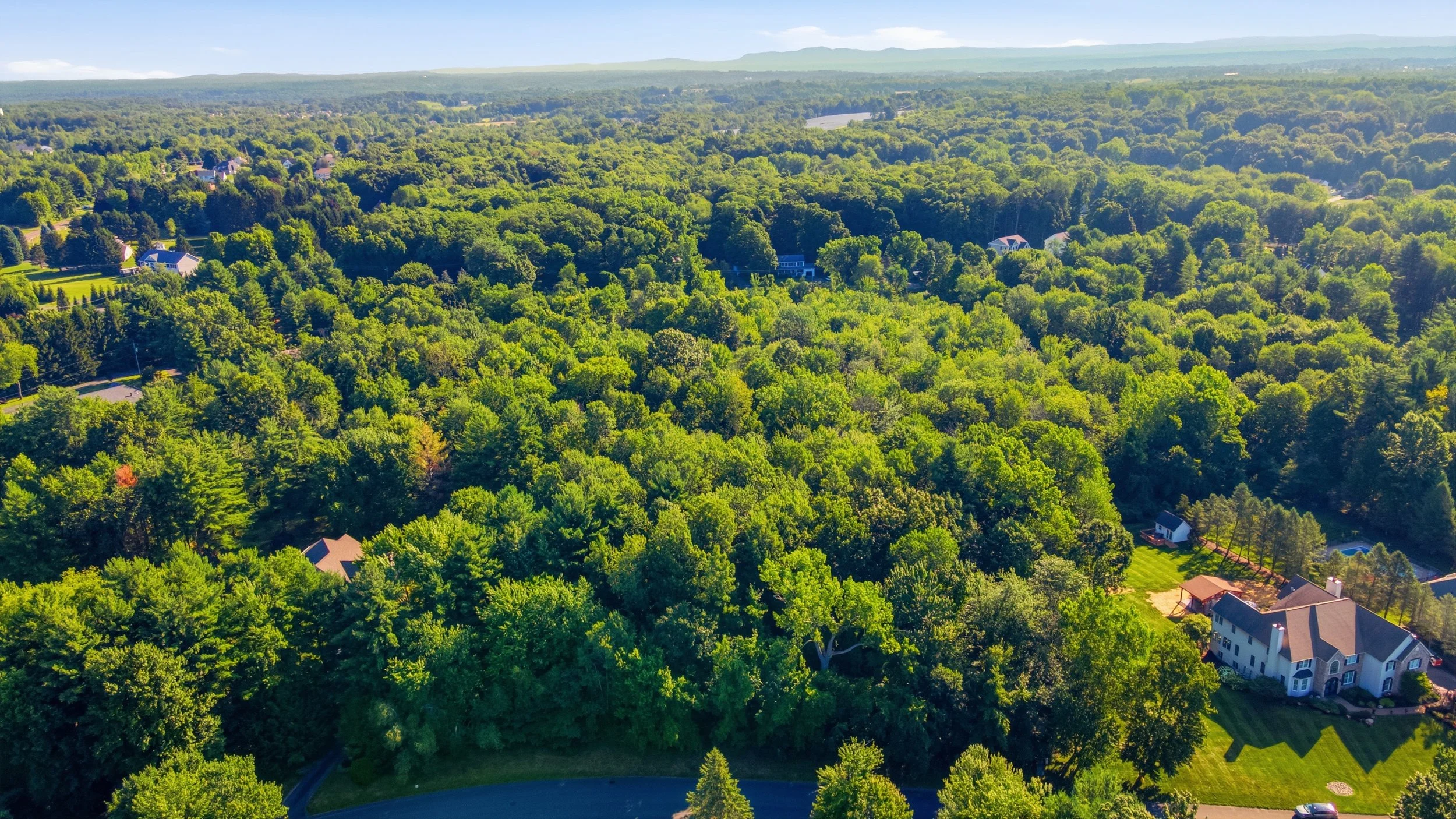 3-001_DJI_0221.jpg