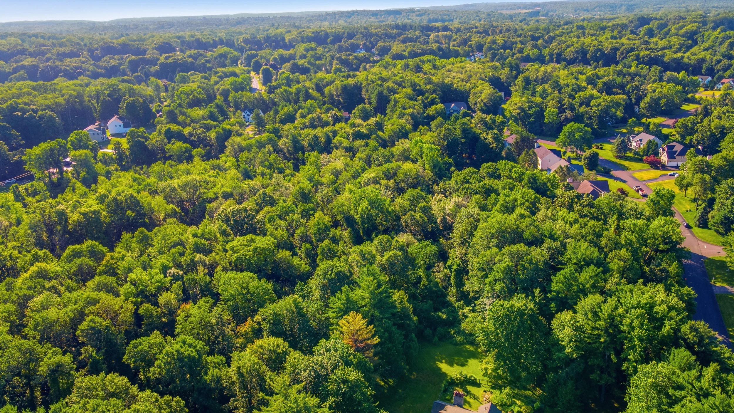 5-003_DJI_0231.jpg