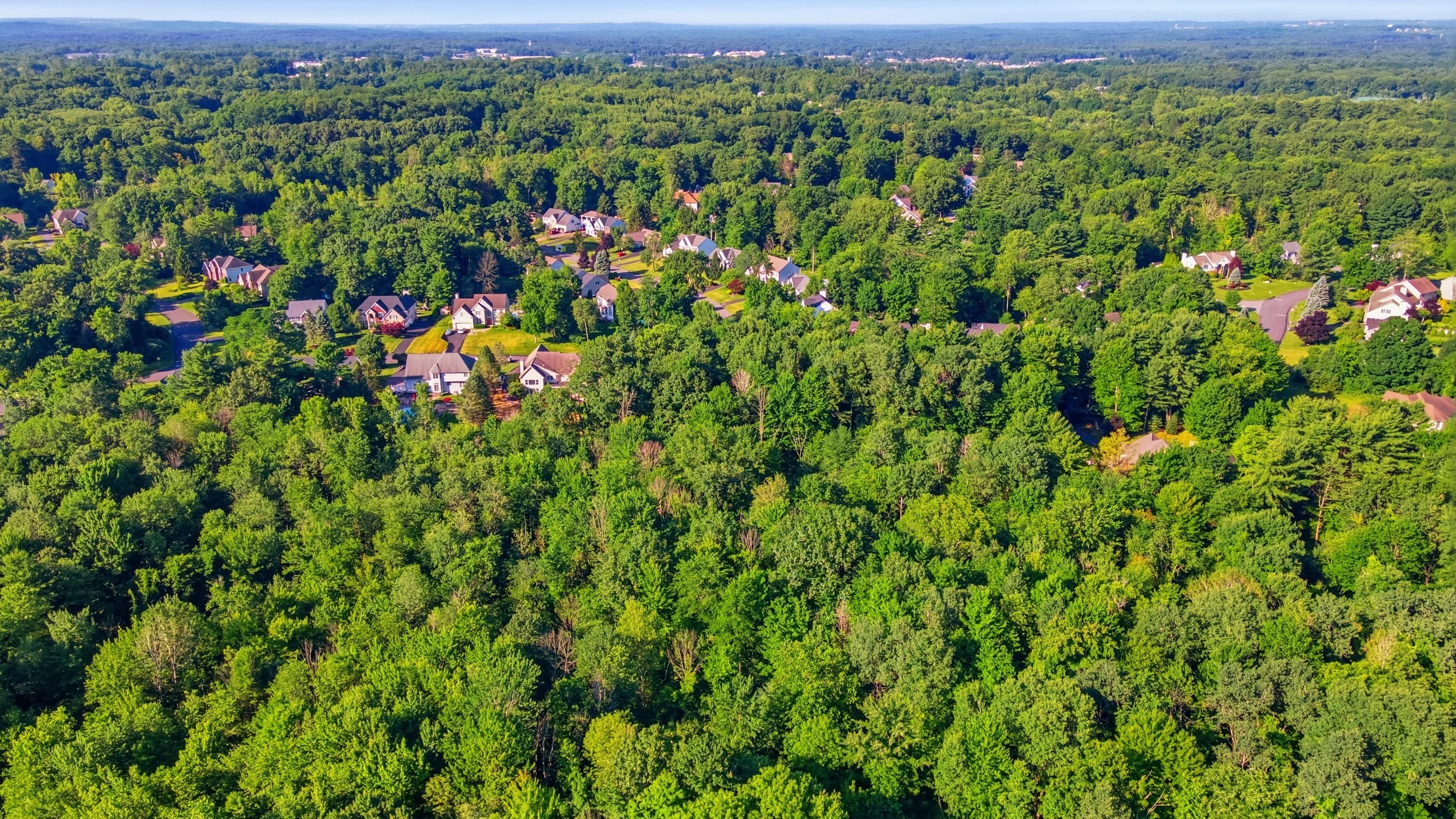 6-004_DJI_0241.jpg