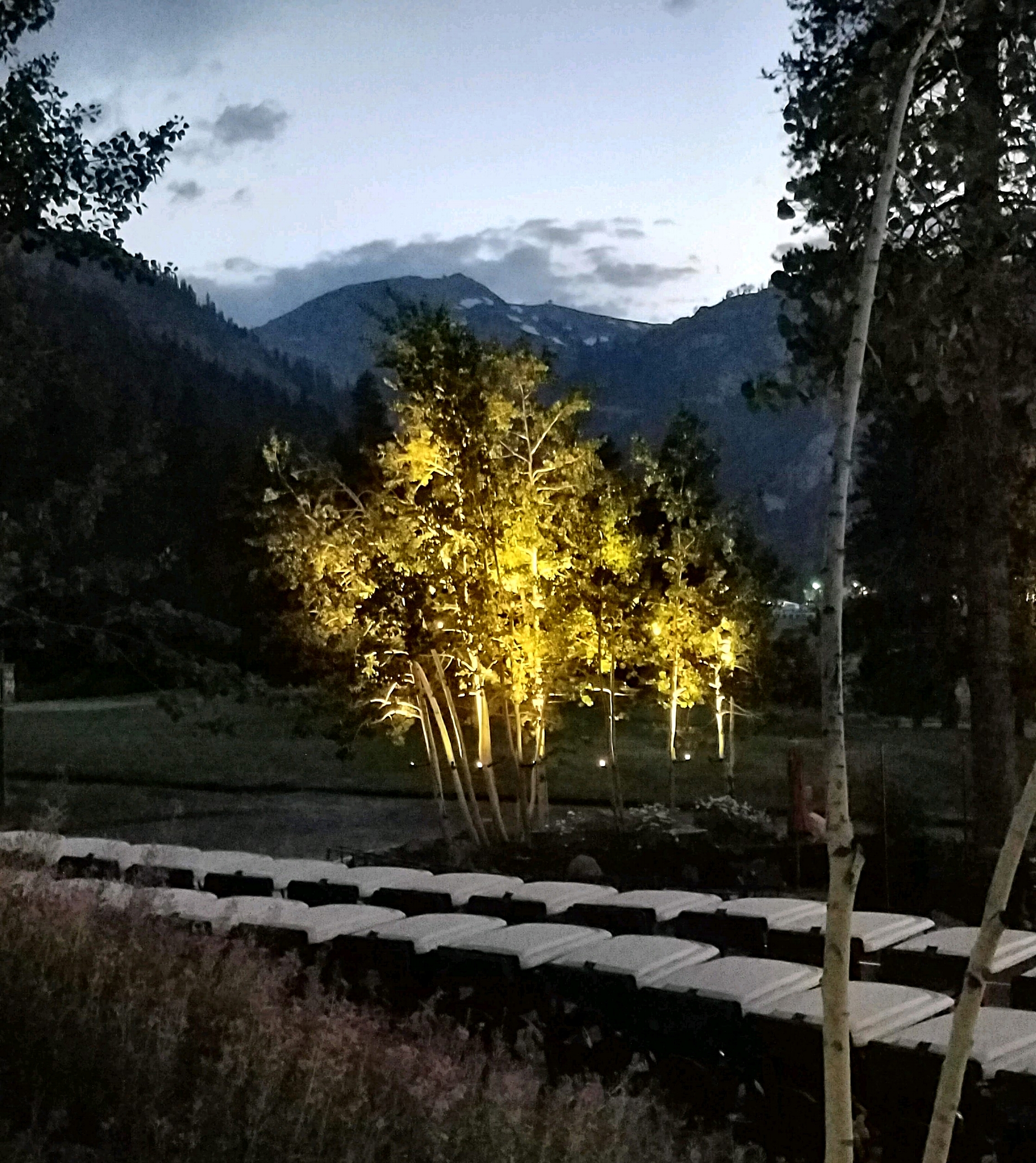Aspen Uplighting in Squaw Valley