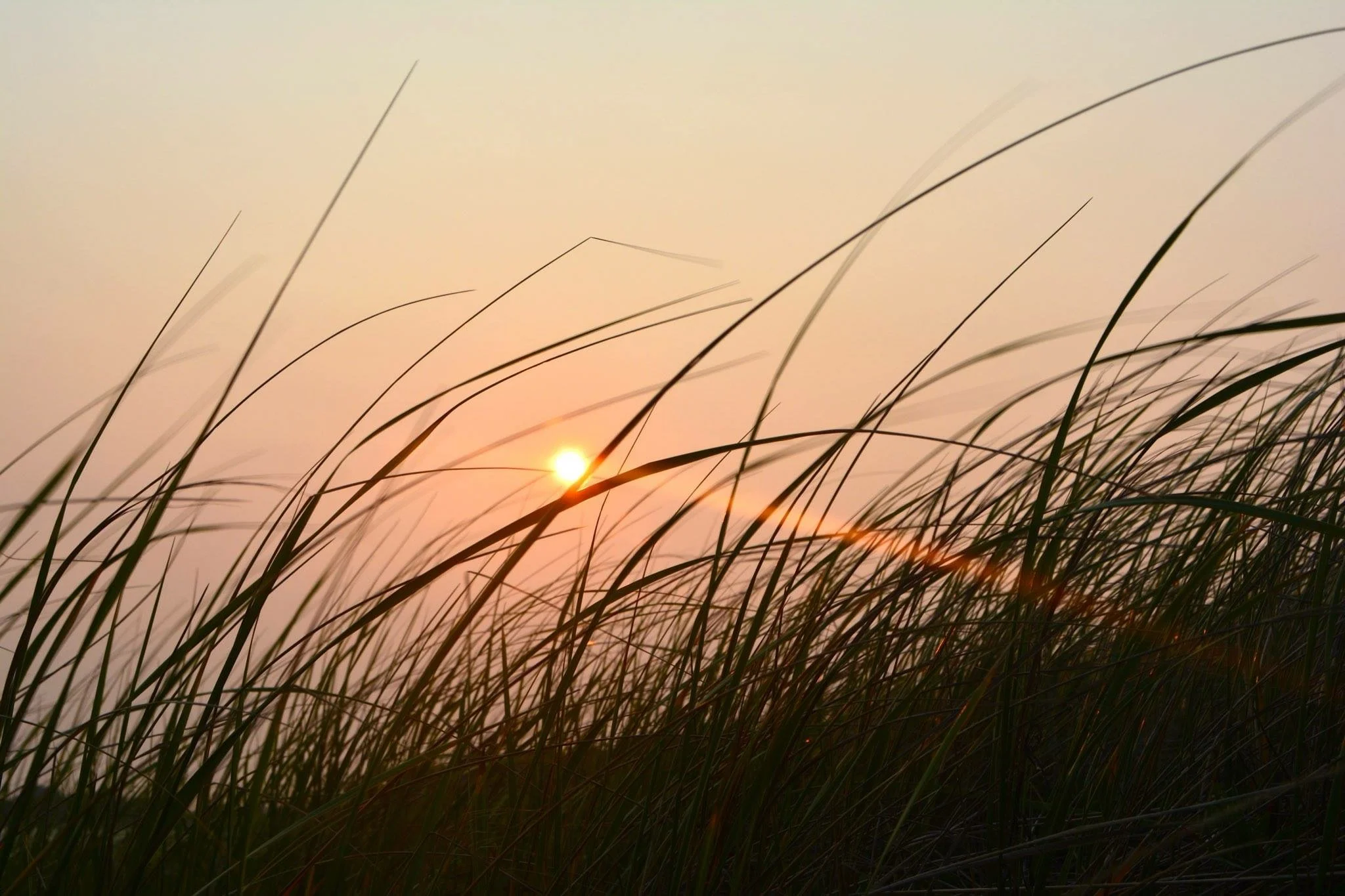 Cape Cod, 7/16