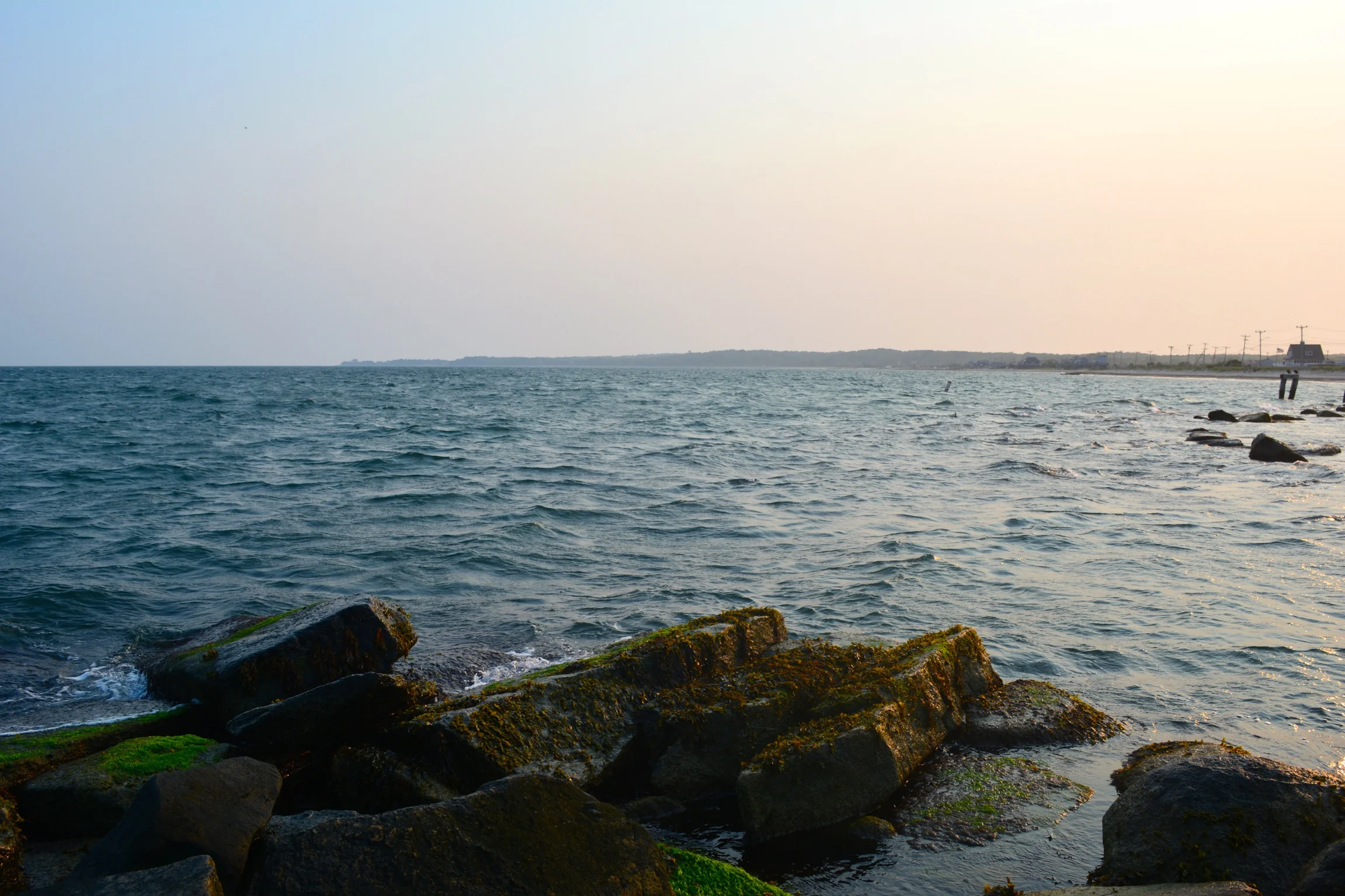 Cape Cod, 7/16