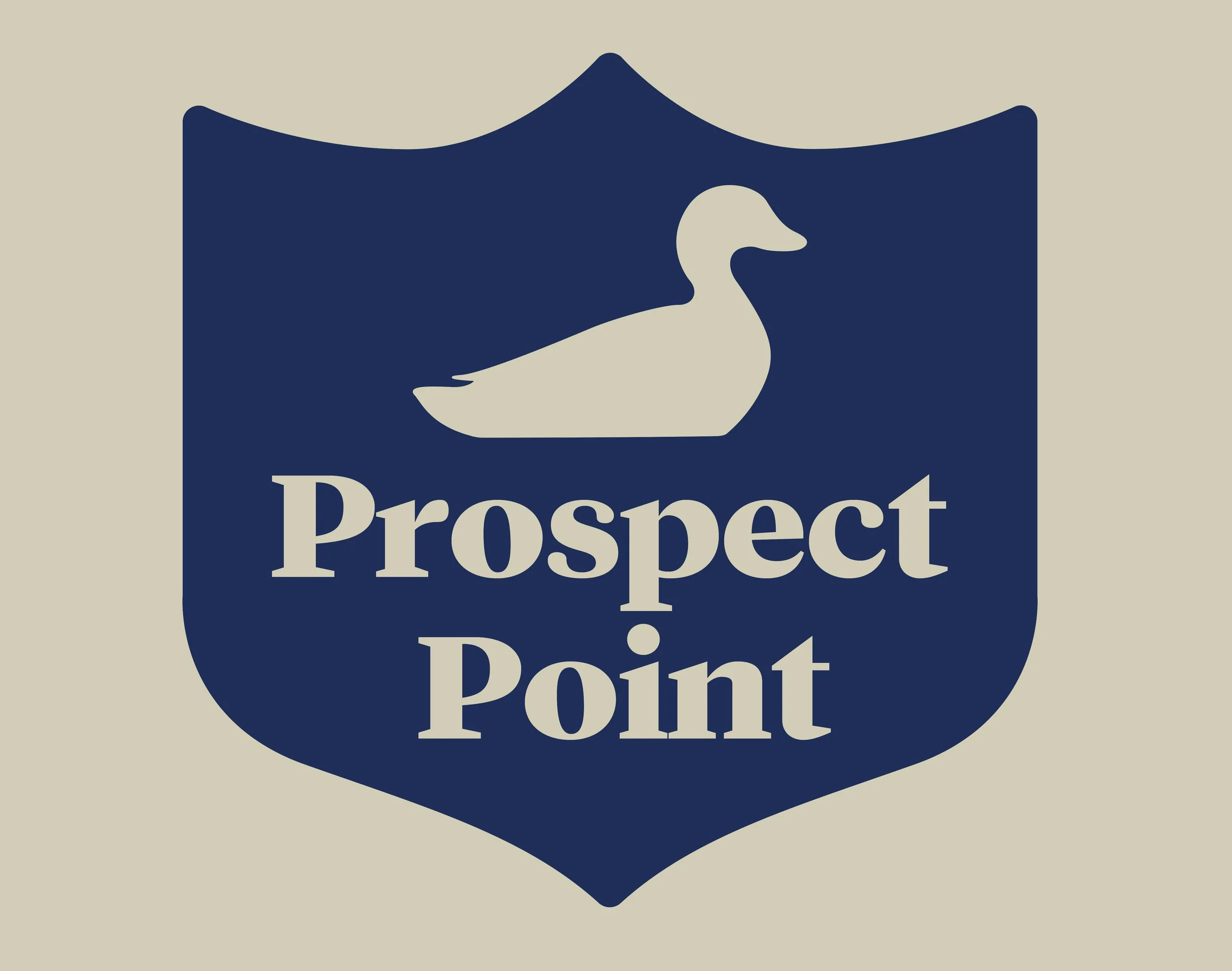 pp3.jpg
