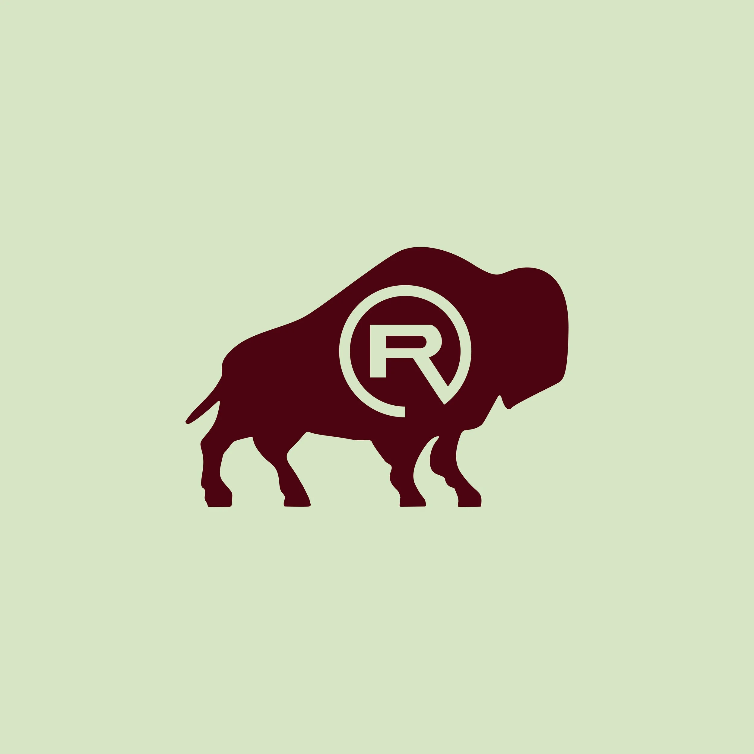 Bison with R.jpg