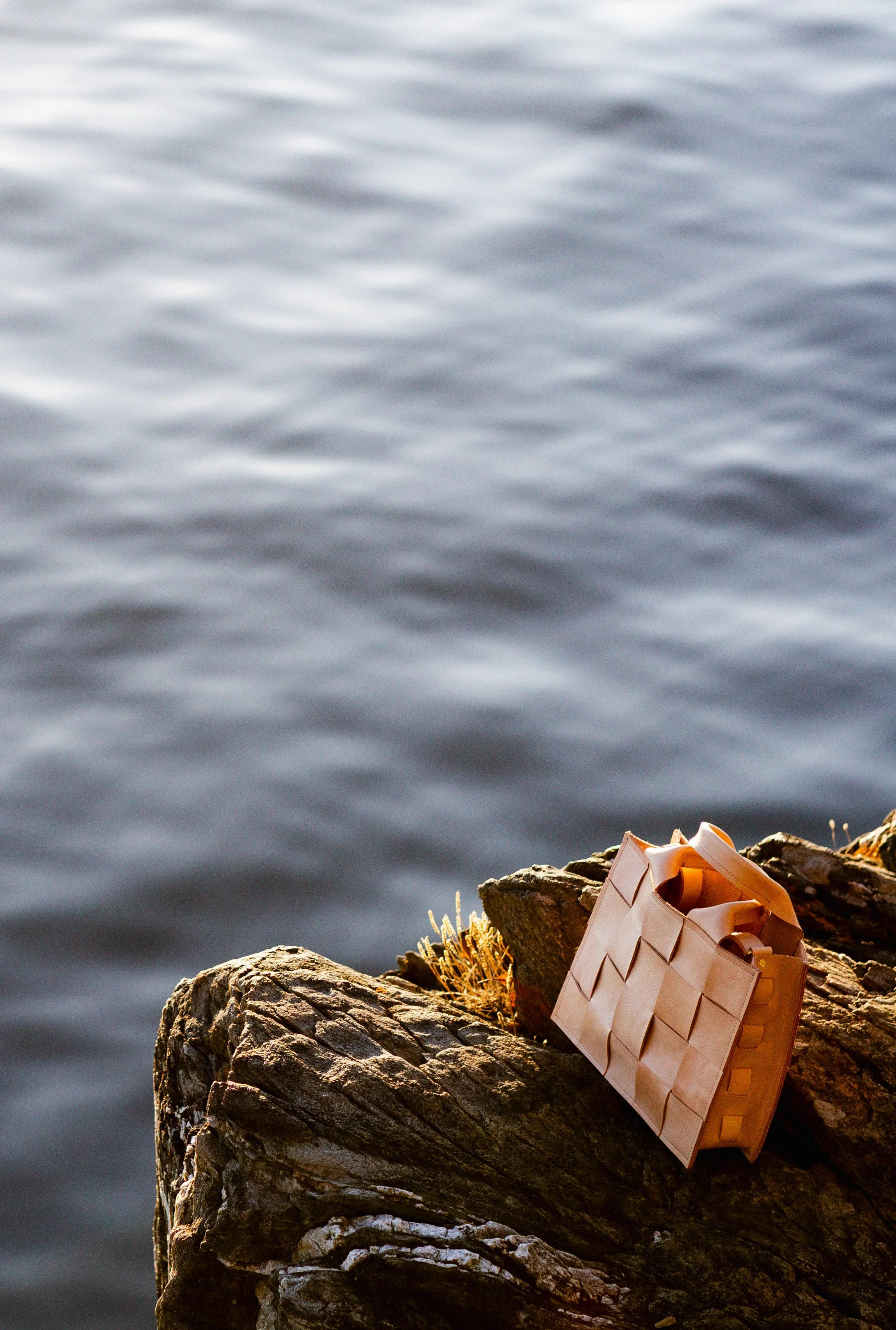 8T3A8498_mcs edit.jpeg