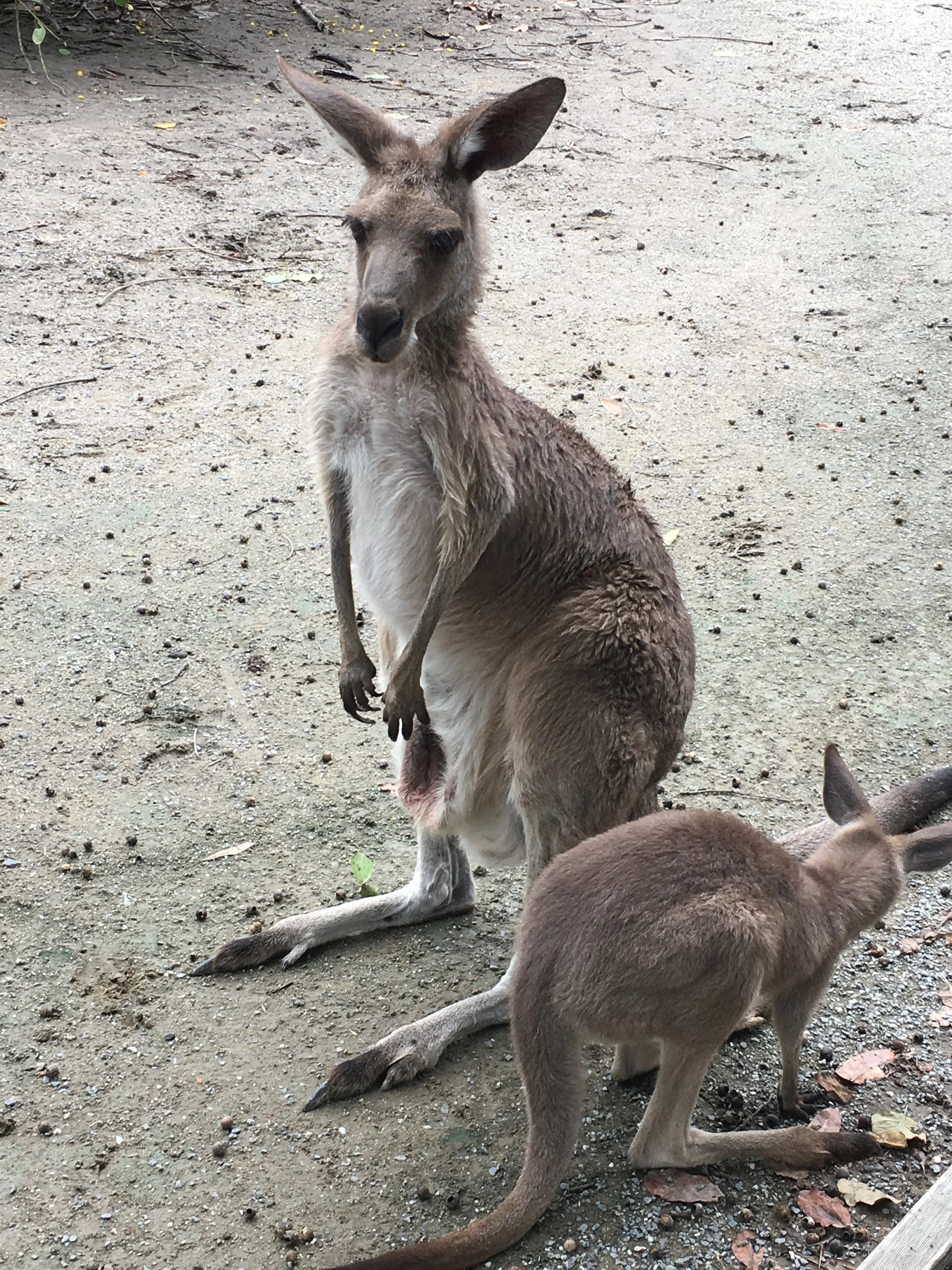 Look at that pouch. Yeck.