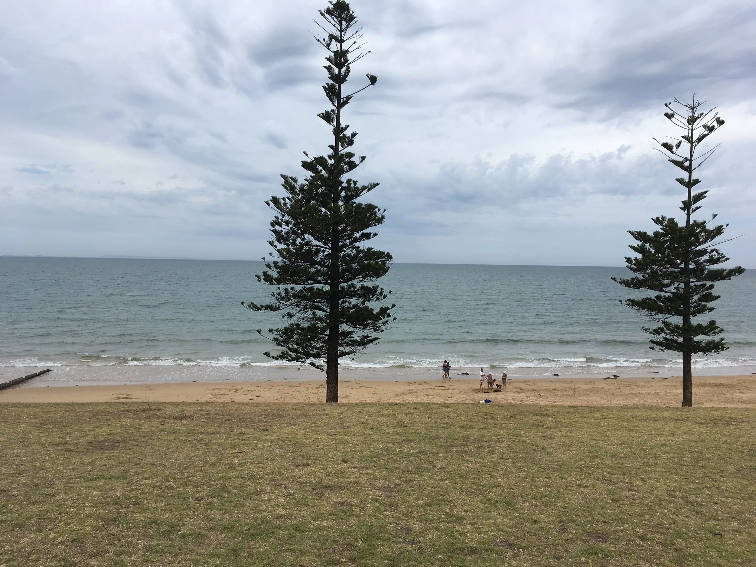 Torquay Beach. 