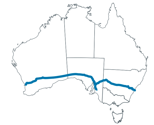 Screen Shot 2018-03-21 at 11.19.15 AM.png