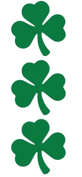 Garry strikes lucky and gets his Irish citizenship