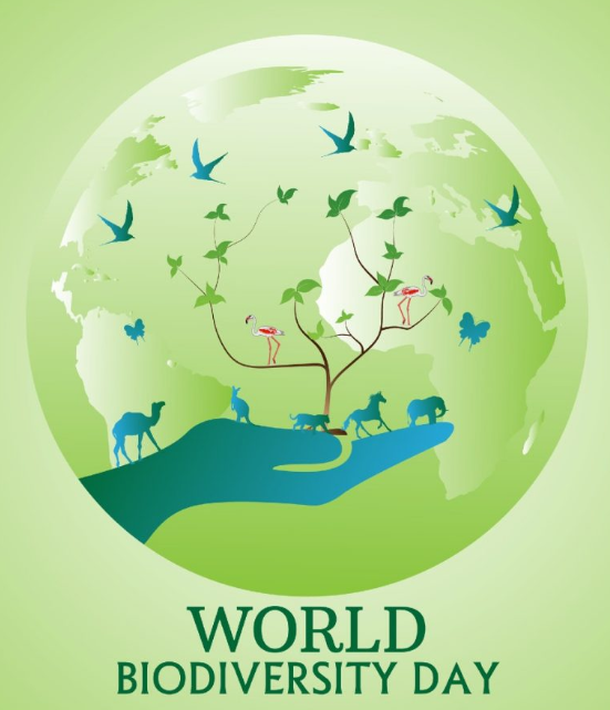 International Day for Biological Diversity