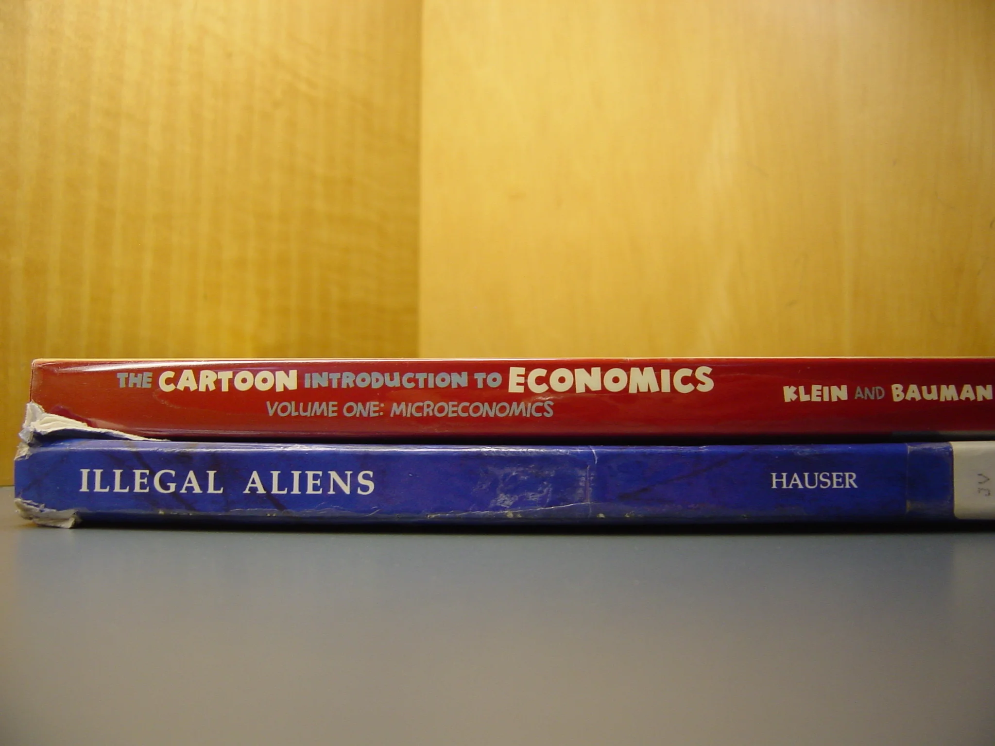 015_Disquieted Economics.JPG